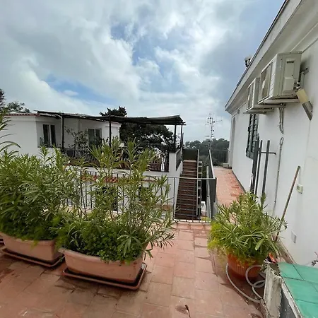 Capri Residence 公寓 卡普里